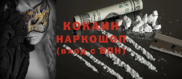 кокс Арсеньев