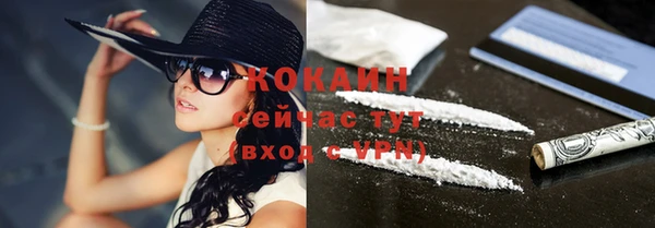 кокс Арсеньев