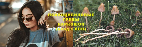 стафф Армянск