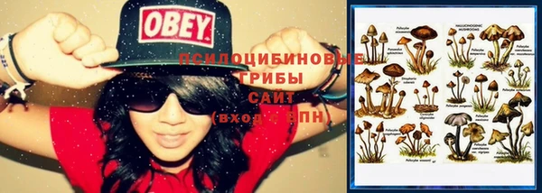 стафф Армянск