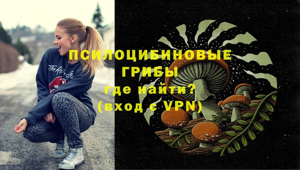 кокс Арсеньев