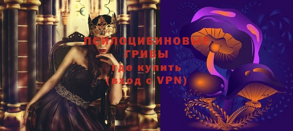 трава Аркадак