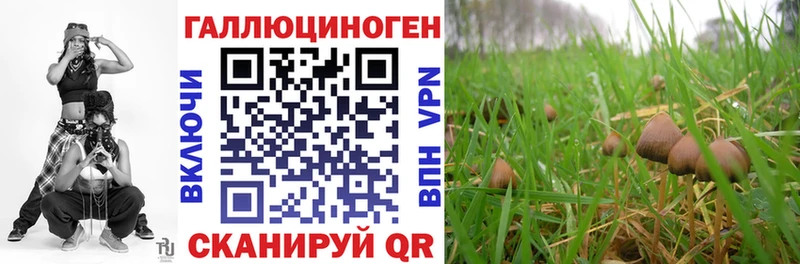 наркота  Белоярский  Псилоцибиновые грибы прущие грибы 